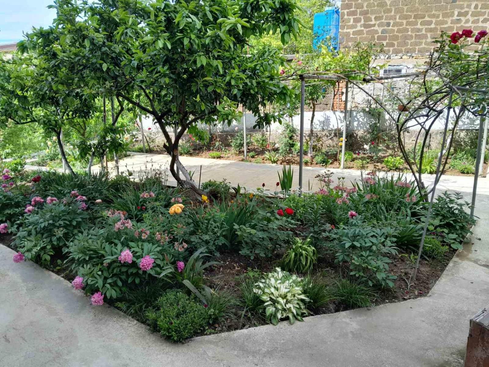 Guest House T&N كوتايسي المظهر الخارجي الصورة